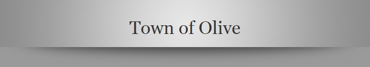 Town of Olive